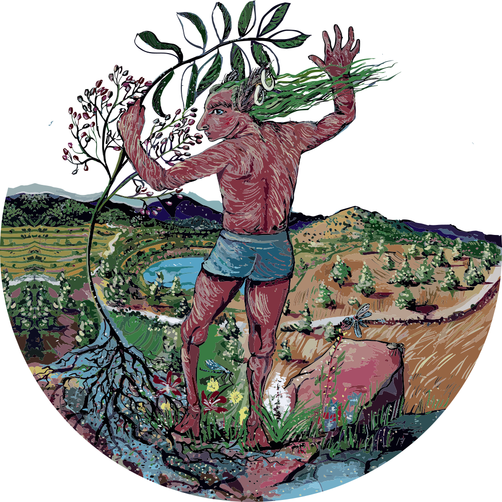 Crown Daisy Wild One Cyprus